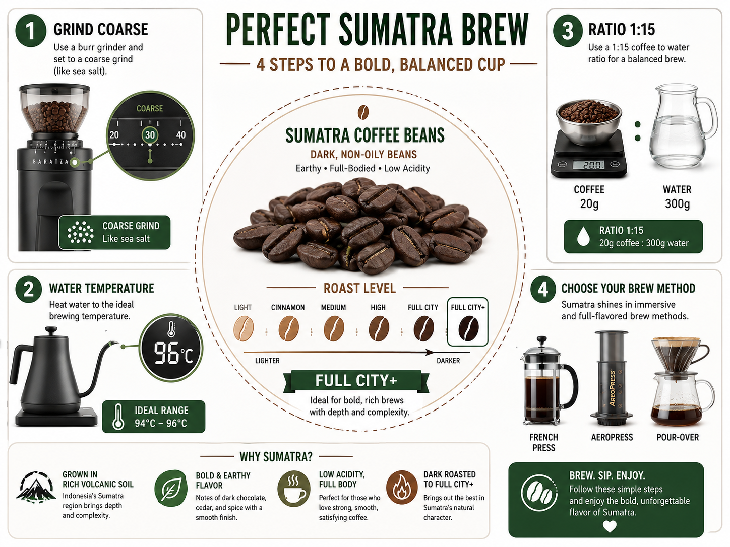 Infographic for brewing Sumatra coffee with grind, temperature, ratio, and method tips.