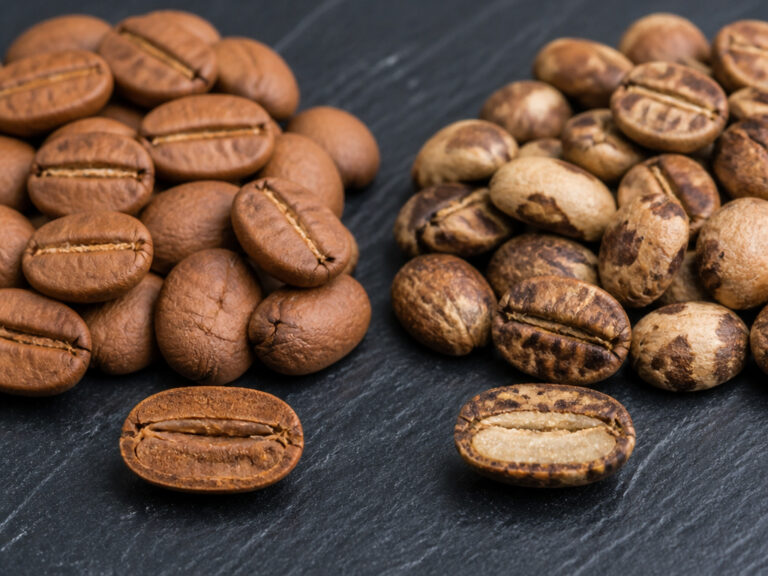 What Is a Light Roast Coffee? The SCA Standard & Key Traits