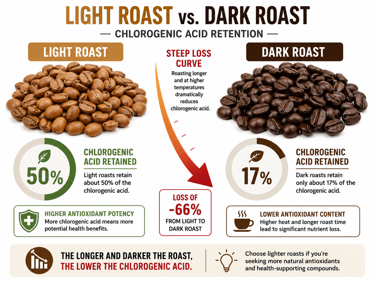 Infographic comparing chlorogenic acid retention in light roast versus dark roast coffee beans.