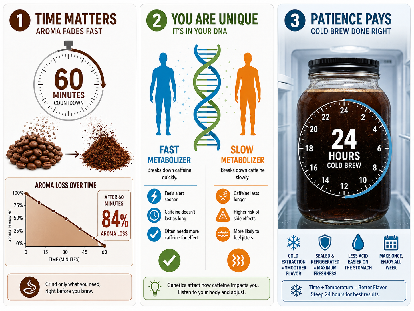 Infographic on iced coffee freshness, caffeine genetics, and proper storage safety.