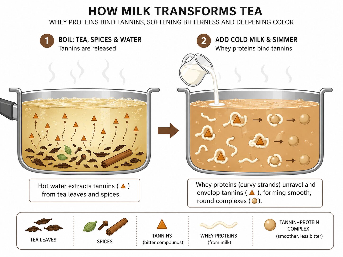 Diagram of milk proteins binding tea tannins during chai simmering process.