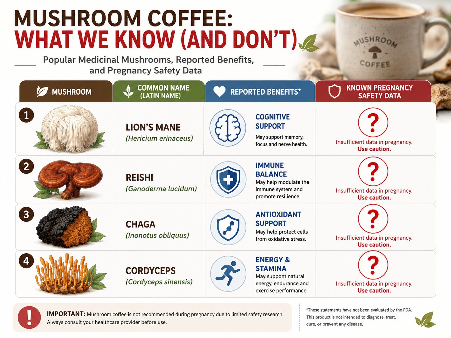 Infographic on mushroom coffee ingredients and lack of pregnancy safety data