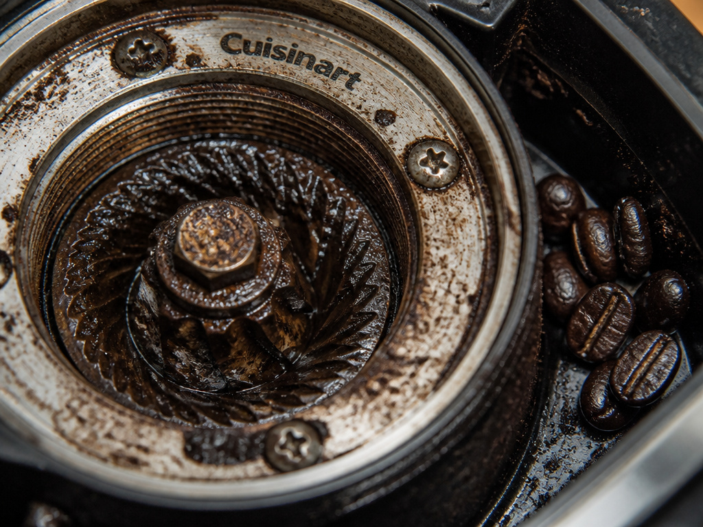 Oily coffee bean residue clogging a Cuisinart grinder's burrs and chamber