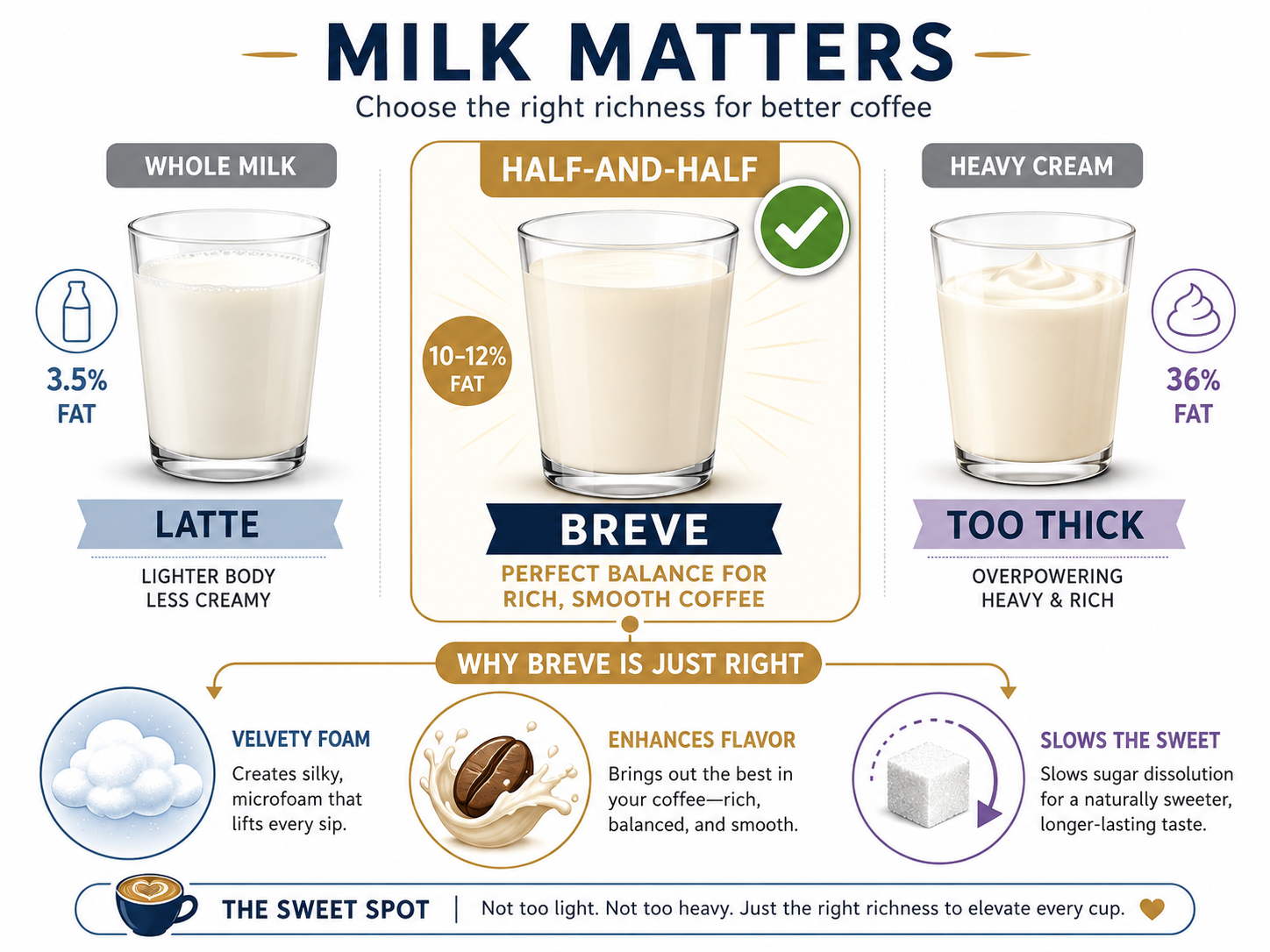 Infographic comparing milk fat percentages for breve, latte, and heavy cream coffee.