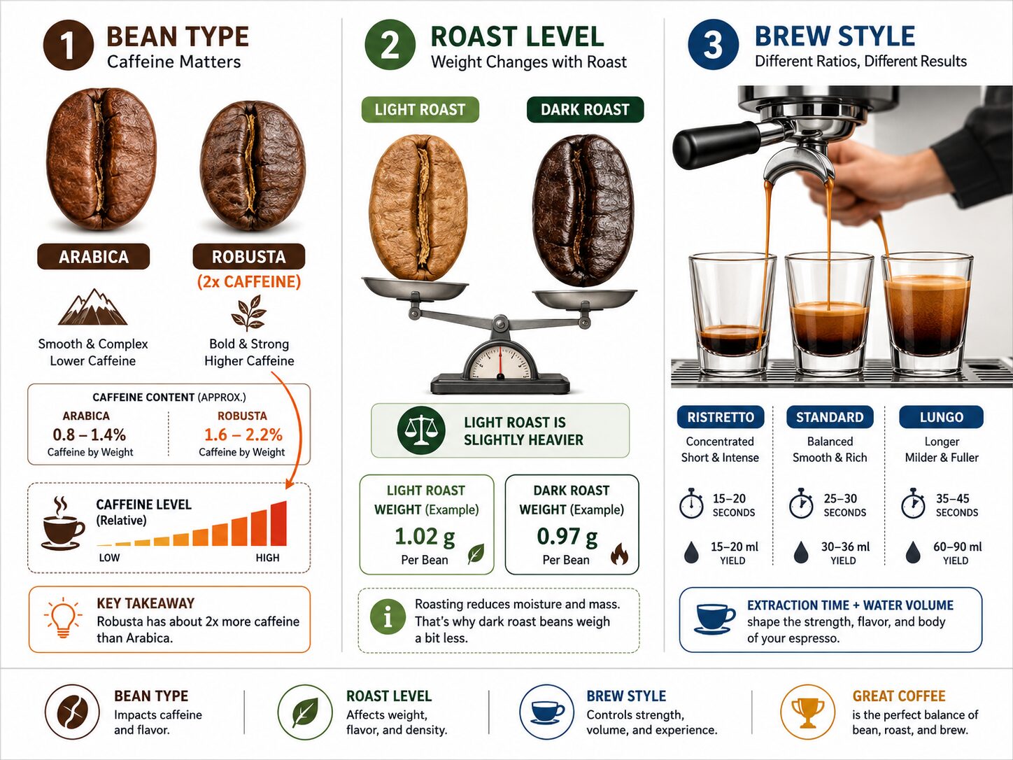 Infographic on how bean type, roast level, and shot size affect cappuccino caffeine.