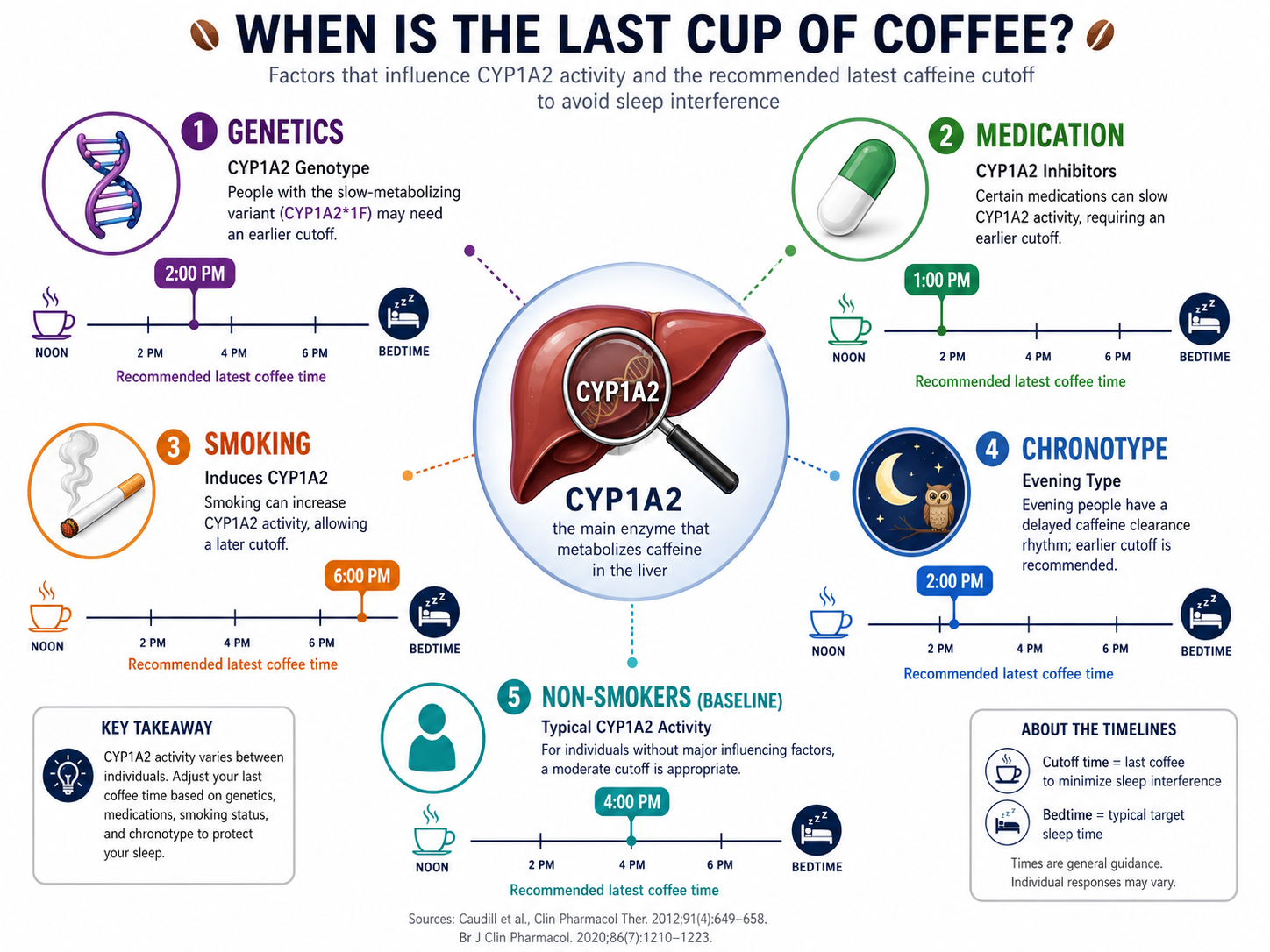 Personal caffeine calculator infographic showing how genes and lifestyle affect coffee cutoff times.